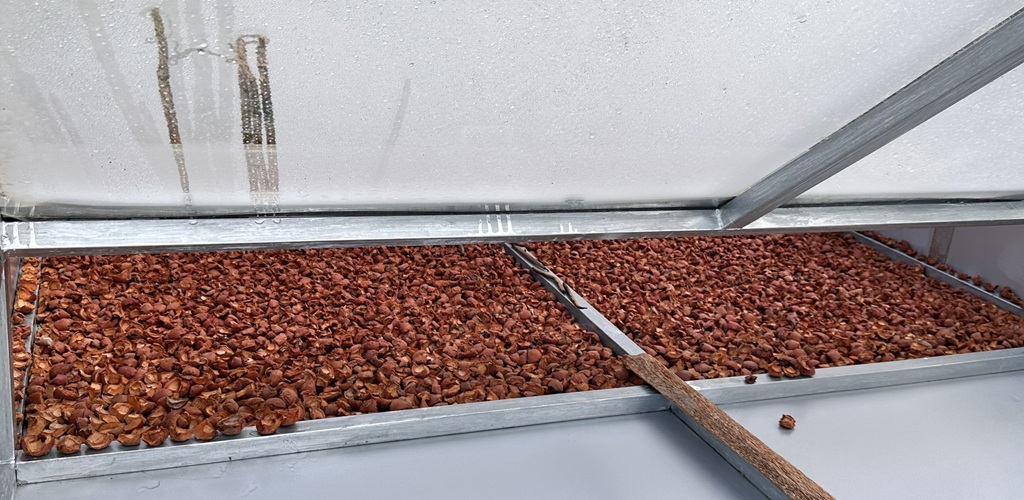 Connecting a Hidden Gem on Seram Island to Sustainable Markets